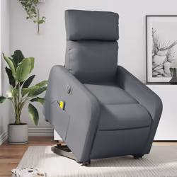 VidaXL 3206766 poltrona