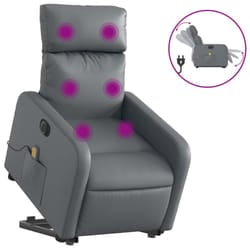 VidaXL 3206773 poltrona