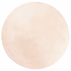 Tappeto a Pelo Corto HUARTE Morbido e Lavabile Beige Ø 120 cmcod mxl 85966 - Vista aggiuntiva 2