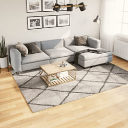 Tappeto Shaggy a Pelo Lungo Moderno Beige e Antracite 200x280cm Vidaxl 21201