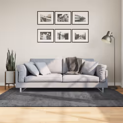 Aggiungete comfort e stile all'arredamento della vostra casa con questo tappeto morbido. Durevole e sicuro: Questo tappeto è  ...