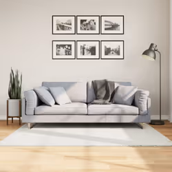 Aggiungete comfort e stile all'arredamento della vostra casa con questo tappeto morbido. Durevole e sicuro: Questo tappeto è ...