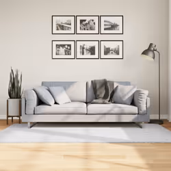 Aggiungete comfort e stile all'arredamento della vostra casa con questo tappeto morbido. Durevole e sicuro: Questo tappeto è ...