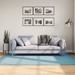 Aggiungete comfort e stile all'arredamento della vostra casa con questo tappeto morbido. Durevole e sicuro: Questo tappeto è ...