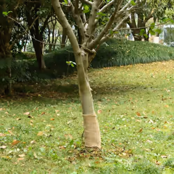 Questo rotolo in iuta versatile è ideale per vari eventi o occasioni, come matrimoni, feste o decorazioni per la casa. Materi ...