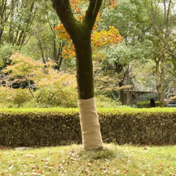Questo rotolo in iuta versatile è ideale per vari eventi o occasioni, come matrimoni, feste o decorazioni per la casa. Materi ...
