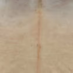 Tappeto in Vera Pelle Bovina Beige 180x220 cmcod mxl 86341 - Vista aggiuntiva 3