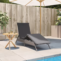 VidaXL 4002703 sedia da esterno Salone Seduta imbottita Rattan sintetico, Acciaio Grigio