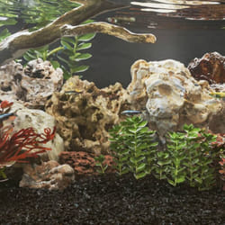 Vidaxl - Pietre del Drago 10 kg Colori Misti 10-30 cm