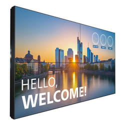 Philips 55BDL3305X LCD Interno