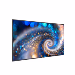 Philips 55BDL2050A/00 Monitor 55 pollici 4K UHD IPS 400 cd/m² 16/7 Android Nero - Vista aggiuntiva 2