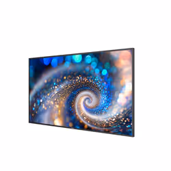 Philips 55BDL2050A/00 Monitor 55 pollici 4K UHD IPS 400 cd/m² 16/7 Android Nero - Vista aggiuntiva 3