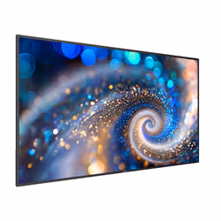 Philips 65BDL2050A/00 Monitor 65 pollici 4K UHD IPS 400 cd/m² 16/7 Android Nero - Vista aggiuntiva 3