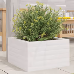 Questa fioriera da giardino in legno è la scelta ideale per coltivare una varietà di fiori o di piante. Telaio robusto e stab ...