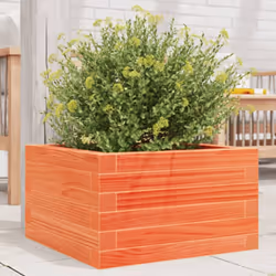 Questa fioriera da giardino in legno è la scelta ideale per coltivare una varietà di fiori o di piante. Telaio robusto e stab ...
