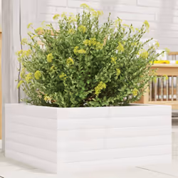 Questa fioriera da giardino in legno è la scelta ideale per coltivare una varietà di fiori o di piante. Telaio robusto e stab ...