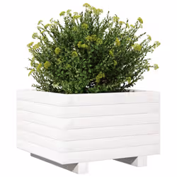 VidaXL 847289 fioriera Pino Bianco - Vista aggiuntiva 4