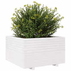 VidaXL 3282530 fioriera Pino Bianco - Vista aggiuntiva 4