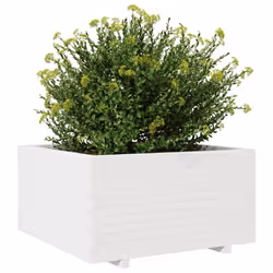 VidaXL 3282535 fioriera Pino Bianco - Vista aggiuntiva 4
