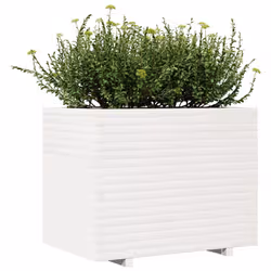 VidaXL 3282605 fioriera Pino Bianco - Vista aggiuntiva 4