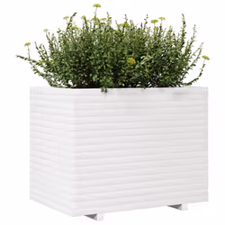 VidaXL 3282645 fioriera Pino Bianco - Vista aggiuntiva 4