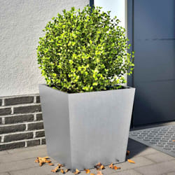Vidaxl - Fioriere da Giardino 2 pz 50x50x50 cm in Acciaio Zincato 446515