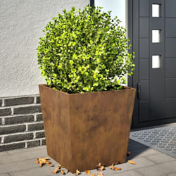 Fioriere da Giardino 2 pz 50x50x50 cm in Acciaio Corten vidaXL150002