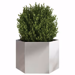 vidaXL Fioriera da Giardino Esagono 69x60x45 cm in Acciaio Inox - Vista aggiuntiva 3