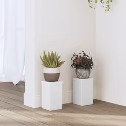 Questi supporti per le piante sono perfetti per mettere in mostra le vostre piante e altri oggetti decorativi. Materiale stab ...