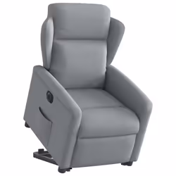 VidaXL 3303154 poltrona