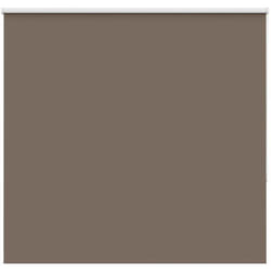 Tenda a Rullo Oscurante 165x175 cm Larghezza Tessuto 161,6 cm Vidaxl