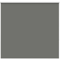 Tenda a Rullo Oscurante 155x175 cm Larghezza Tessuto 151,6 cm Vidaxl 999698