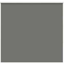 Tenda a Rullo Oscurante 165x175 cm Larghezza Tessuto 161,6 cm Vidaxl 413443