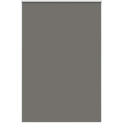 Tenda a Rullo Oscurante 155x210 cm Larghezza Tessuto 151,6 cm Vidaxl 210538