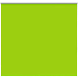 Vidaxl - Tenda a Rullo Oscurante 150x130 cm Larghezza Tessuto 146,6 cm 172919