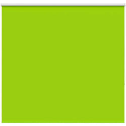 Vidaxl - Tenda a Rullo Oscurante 155x150 cm Larghezza Tessuto 151,6 cm 511340