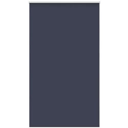 Tenda a Rullo Oscurante 120x230 cm Larghezza Tessuto 116,6 cm Vidaxl 643644
