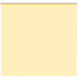 Vidaxl - Tenda a Rullo Oscurante 155x150 cm Larghezza Tessuto 151,6 cm 355243