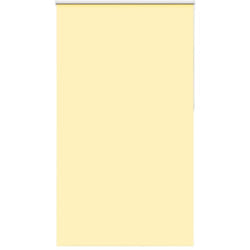 Vidaxl - Tenda a Rullo Oscurante 120x230 cm Larghezza Tessuto 116,6 cm 895723