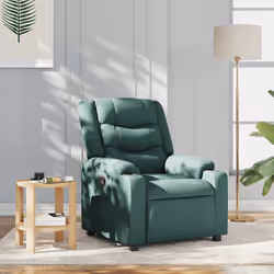 VidaXL 4019925 poltrona