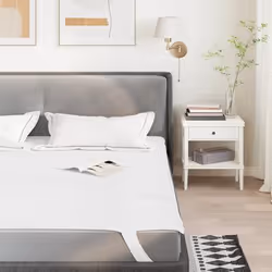 VidaXL 4100179 sur-matelas et alaise