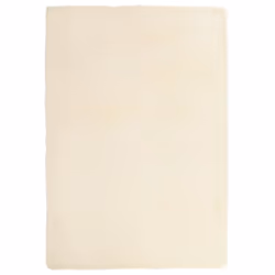 vidaXL Tappeto Shaggy a Pelo Lungo NAVARRA Crema 200x290 cm poliestere - Vista aggiuntiva 2