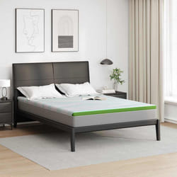 vidaXL Guanciali per materassi Bianco e Verde 180 x 200 cm