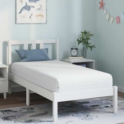 vidaXL Materasso con Strato di Cocco Bianco 80 x 160 cm