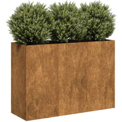 Vidaxl - Fioriera Arrugginita 120x40x80 cm in Acciaio Corten 755081