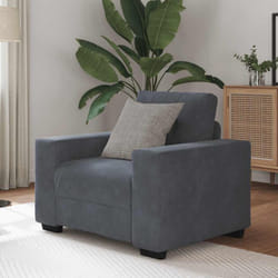 Vidaxl - Divano Sedia Grigio Scuro 60 cm Velluto 412315