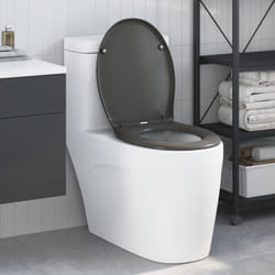 Sedile del wc a rilascio rapido con chiusura morbida Duroplast Antracite Vidaxl