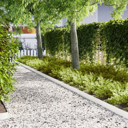 Vidaxl - Bordi per Prato 10 pz Bianco 100x0,5x15 cm Plastica