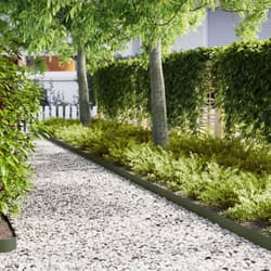 Vidaxl - Bordi Giardino 10 pz Verde Oliva 100x0,5x15 cm Plastica