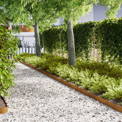 Vidaxl - Bordi per prato 30 pezzi 100x0.5x15 cm Acciaio resistente